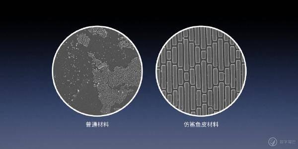 罗永浩发布 Sharklet 鲨纹材料：物理抗菌防污