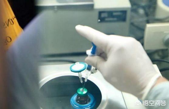 中国有哪些技术在世界上称霸？