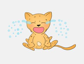 电脑软件打不开怎么办 电脑软件打不开怎么办