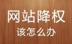 超越seo技术范畴的百度人工词分别有多少