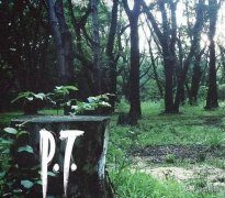 这款游戏养活了无数独立制作人——寂静岭PT