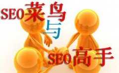 网页快照时间倒退代表降权了吗