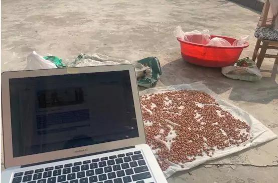 远程上班第一周：不坐在马桶上开会，是远程会议的底线