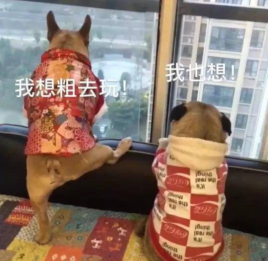 远程上班第一周：不坐在马桶上开会，是远程会议的底线