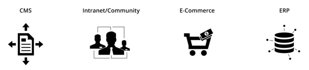 Odoo:开源ERP入门与实践