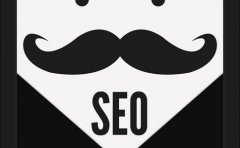 seo的软文表现形式