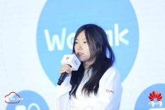 钉钉们一骑绝尘，才入场的华为云WeLink难获存在感