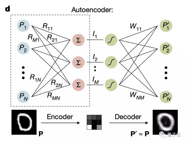 AI芯片新思路：眼睛即大脑，40纳秒完成图像分类｜Nature