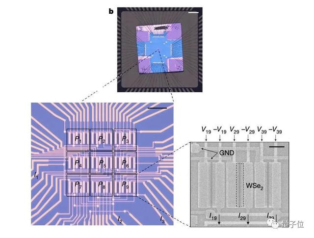 AI芯片新思路：眼睛即大脑，40纳秒完成图像分类｜Nature