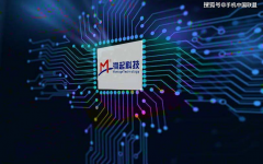 澜起科技：上市以来累计获得政府补助款项7678万元