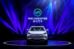 套路满满的威马汽车