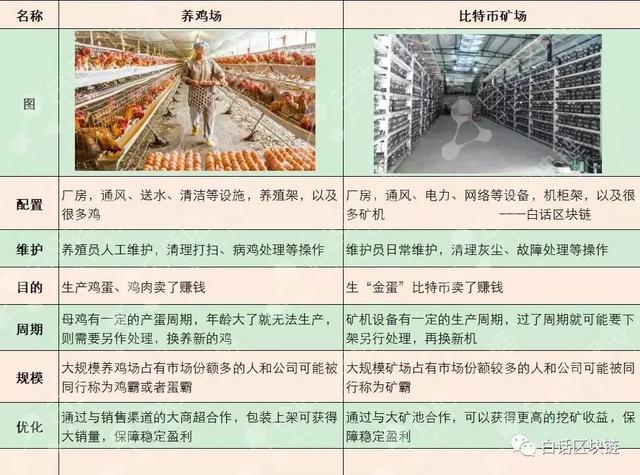 比特币暴跌，又信它是老鼠药了？这"00后"白手起家到现在身家万亿