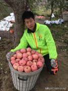 直播带货是未来电商的趋势吗？