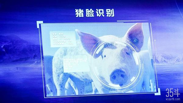 5G“新基建”投资升温，农业多场景应用，为智慧农业提速