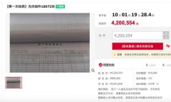 单块均价221元 大唐新能源入股公司1.9万块72型光伏组件即将开拍