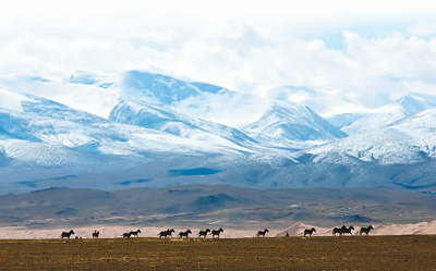 规划中的三江源国家公园地处青藏高原腹地，是长江、黄河、澜沧江的发源地，是我国淡水资源的重要补给地，是高原生物多样性最集中的地区，是亚洲、北半球乃至全球气候变化的敏感区和重要启动区。（图片来源：三江源国家公园网站）