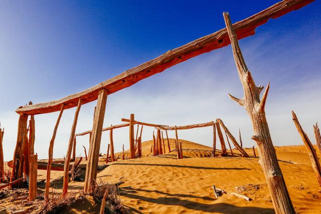 尼雅五星东方中的“千年尼雅”今天什么样？