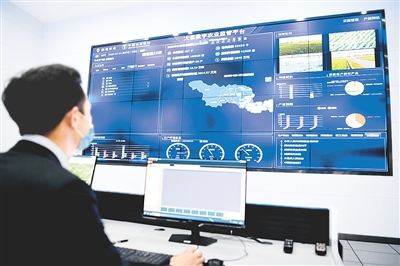 在四川省大邑县四川润地数字农业中心，技术人员使用数字农业监管平台查看农作物各项数据。新华社记者 王 曦摄