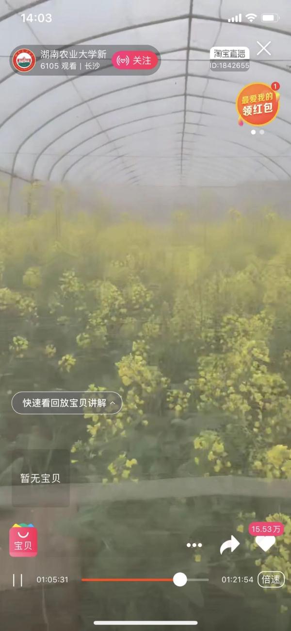 想念就见!超30万人“云游高校”,你在线表白学校了吗? 想念就见!超30万人“云游高校”,你在线表白学校了吗?