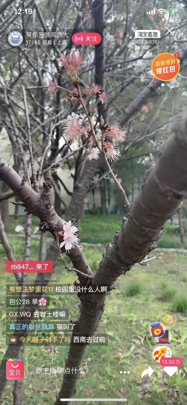 想念就见!超30万人“云游高校”,你在线表白学校了吗? 想念就见!超30万人“云游高校”,你在线表白学校了吗?