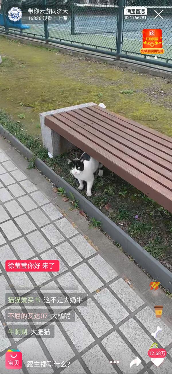 想念就见!超30万人“云游高校”,你在线表白学校了吗? 想念就见!超30万人“云游高校”,你在线表白学校了吗?