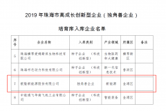 银隆入选2019年高成长创新型企业（独角兽企业）