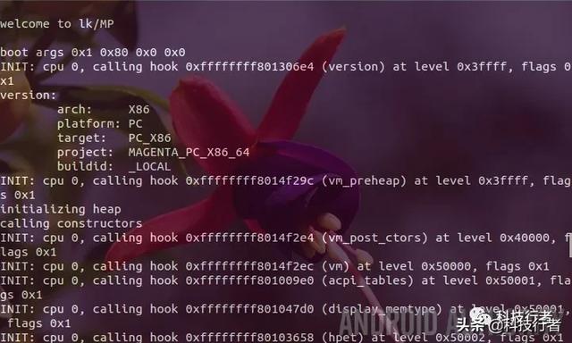 Google Fuchsia：这会是下一代Android吗？