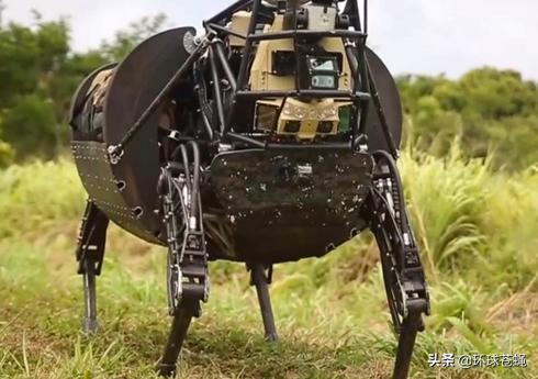 大狗，最适应崎岖地形的机器人！美军弃用，中国却方兴未艾