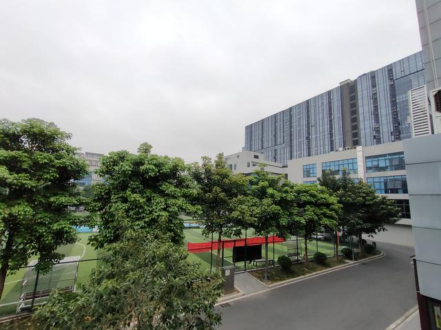 性价比不输小米？realme新款旗舰手机体验