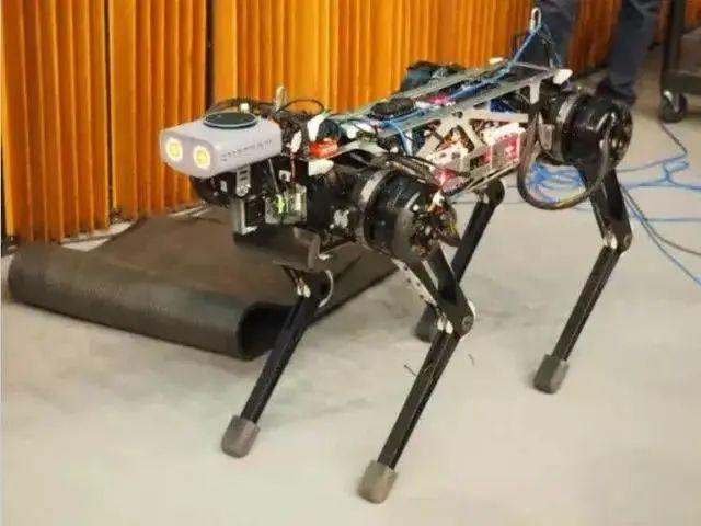 盘点20种最先进的机器人，感觉有点吓人！