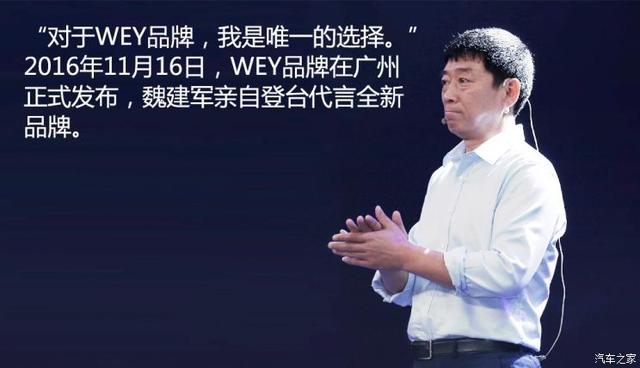 十年盘点：见证特斯拉/蔚来/WEY/领克