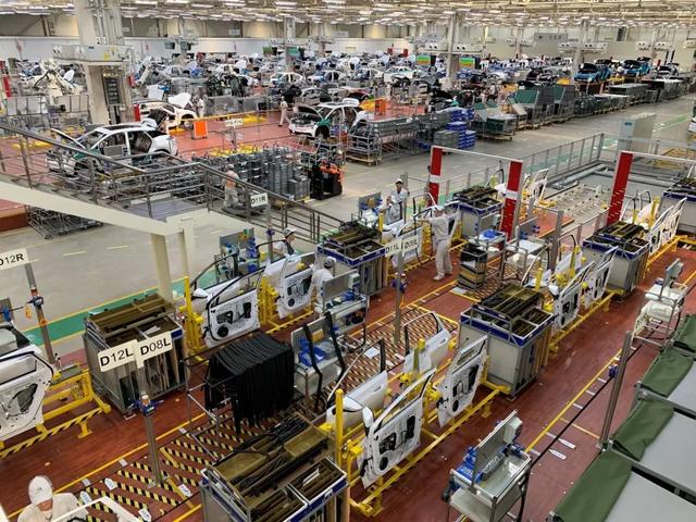 不怕特斯拉当狼，就怕把自己当羔羊！自主品牌谁最能打狼？