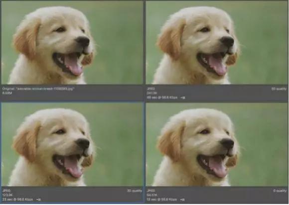 5G时代，JPG图片格式可能被干掉！