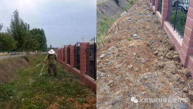 光伏阵列板周边杂草杂灌丛生？危害来了