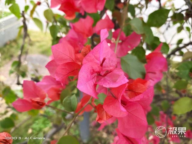 强大的性能旗舰手机！骁龙865+双模5G，极速体验秀翻全场！