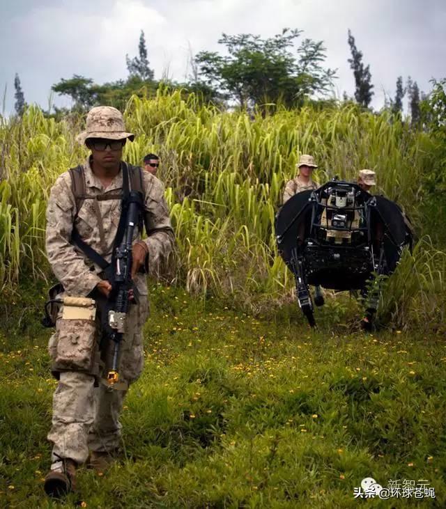 大狗，最适应崎岖地形的机器人！美军弃用，中国却方兴未艾