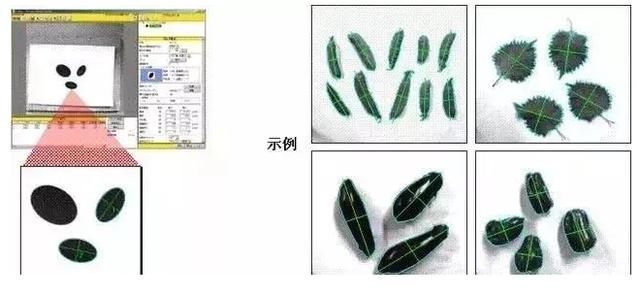 【超强干货】一文带你了解24个FANUC机器人的视觉功能