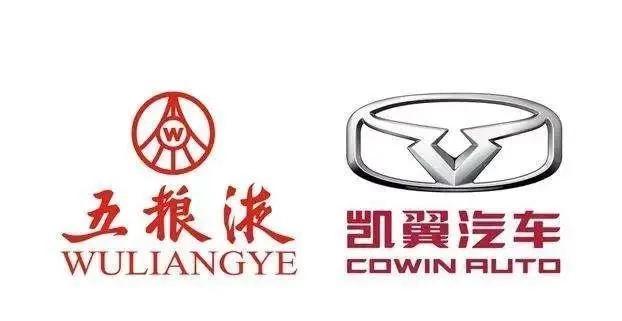 五粮液24亿造车成功，售5.89万起，一看车标，网友笑了：真会省事