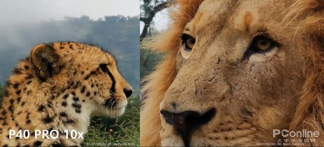 华为P40这拍照水平能否屠榜DxOMark？AI算法的力量太强