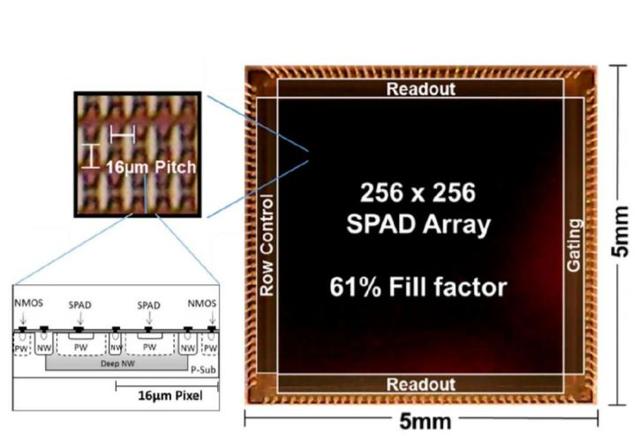 当iPad都开始装激光雷达，马斯克会被打脸吗？| 科普