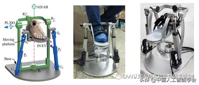 分支风采丨致力于康复机器人研究的董明杰博士