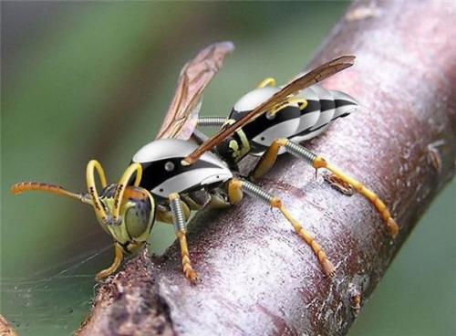 机器人昆虫即将成为现实