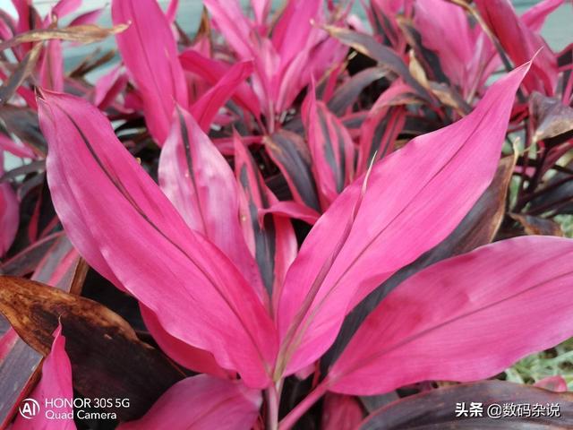 麒麟820首发机究竟值不值？2399元起的荣耀30S评测