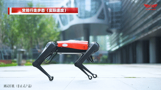 首发！全球行走速度最快的量产机器狗，蔚蓝阿尔法机器狗AlphaDog