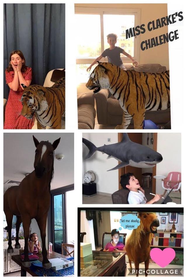 谷歌裸眼3D动物意外蹿红，掀起一股AR体验小高潮