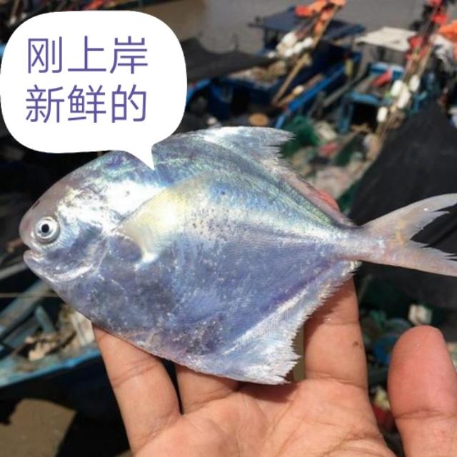 为你揭露电商平台海鲜平价超低价的原因。