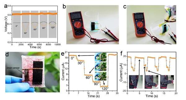 我国科学家研究出可持续柔性水伏发电机，自供能可穿戴传感系统