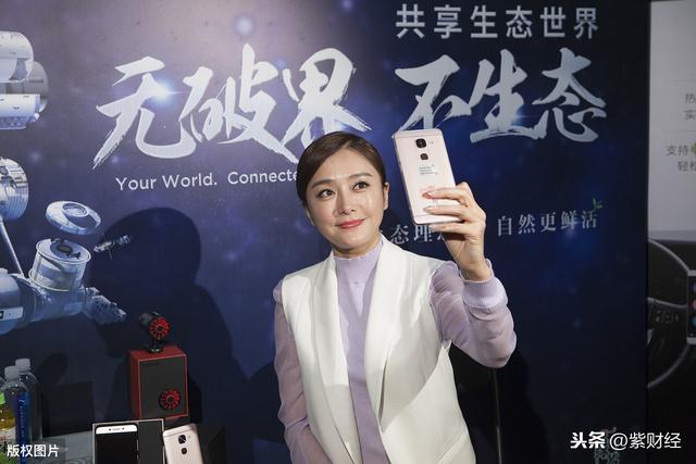 净资产-6.3亿元，卒于2020，“小乐视”墓志铭刻着贪婪二字