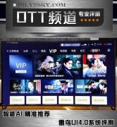 智能AI 精准推荐雷鸟UI4.0系统评测