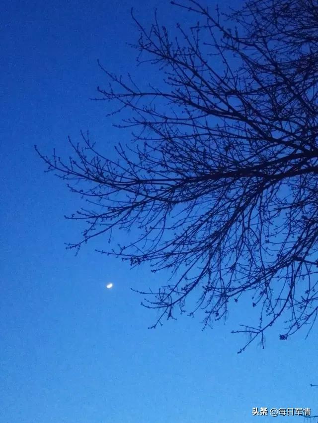 指挥控制系统中的自然智能和人工智能